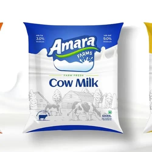 Best web design and digital marketing agency In Delhi, India