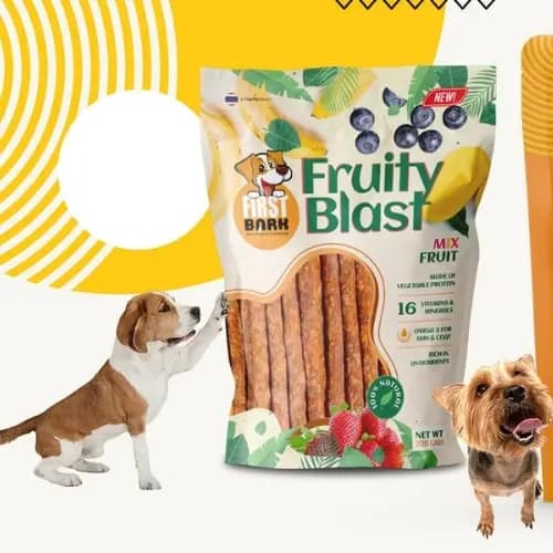 Best web design and digital marketing agency In Delhi, India