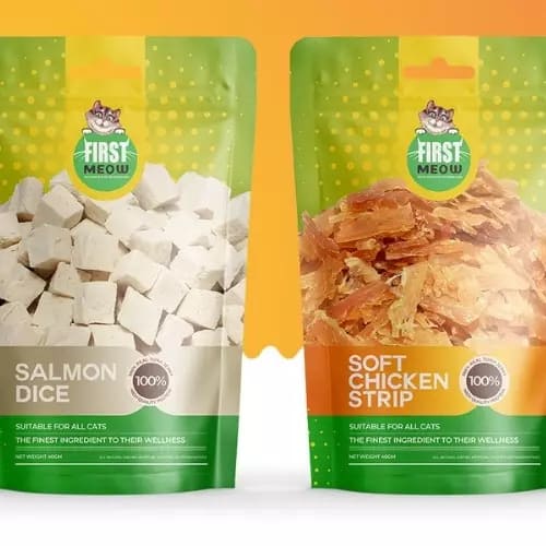 Best web design and digital marketing agency In Delhi, India