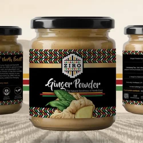 Best web design and digital marketing agency In Delhi, India