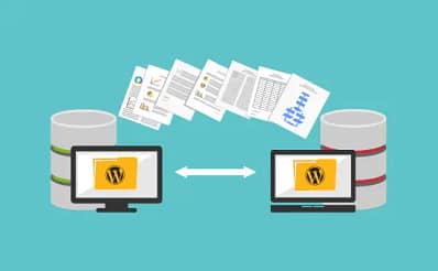 Best web design and digital marketing agency In Delhi, India